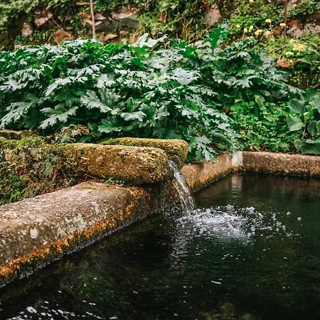 Casa De Alfena - Com Jardim E Piscina Privada Villa