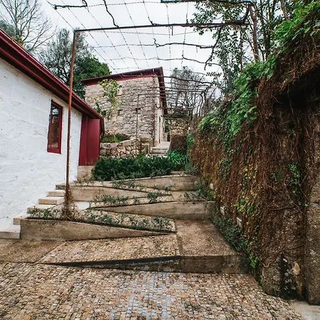 Casa De Alfena - Com Jardim E Piscina Privada Villa