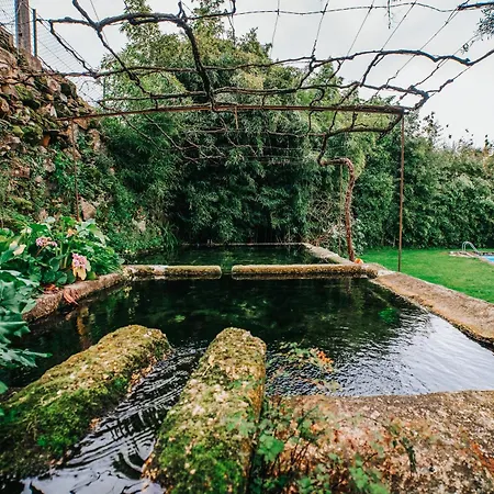 Casa De Alfena - Com Jardim E Piscina Privada Villa Povoa de Lanhoso