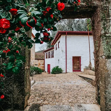 Casa De Alfena - Com Jardim E Piscina Privada *