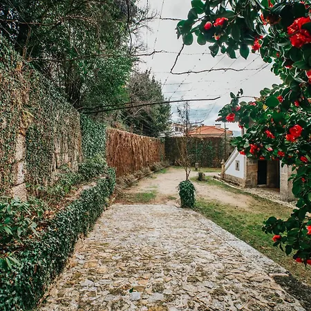 Casa De Alfena - Com Jardim E Piscina Privada Villa Povoa de Lanhoso