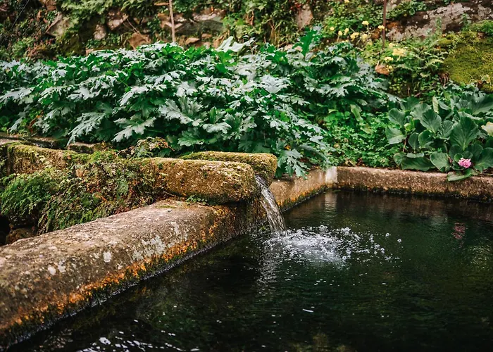 Casa De Alfena - Com Jardim E Piscina Privada Villa