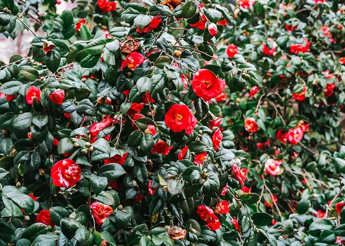 빌라 Casa De Alfena - Com Jardim E Piscina Privada